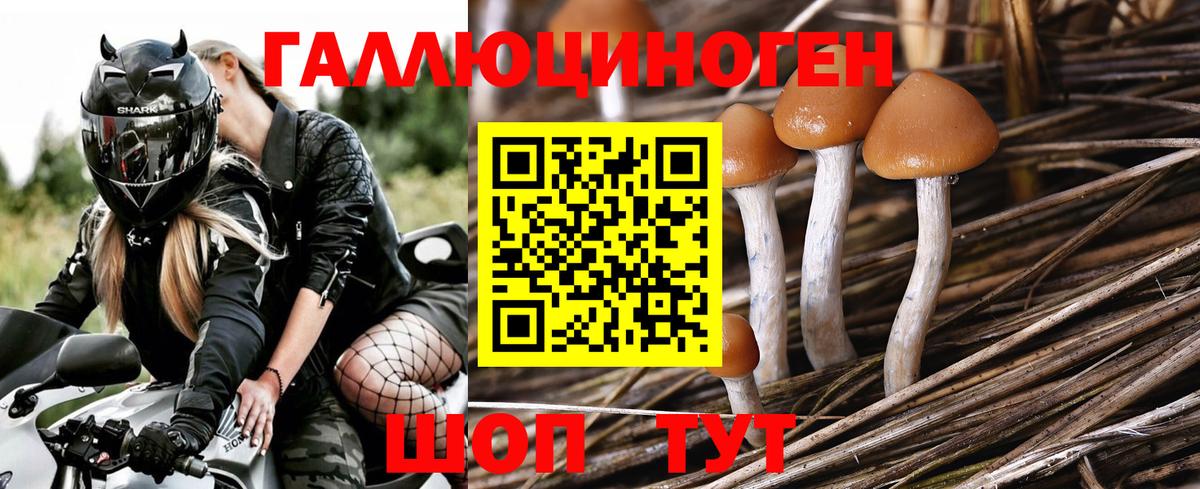 Псилоцибиновые грибы Magic Shrooms Прохладный