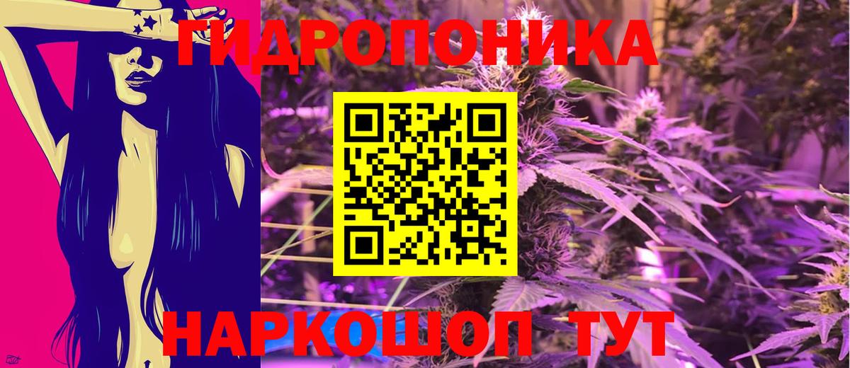 Шишки марихуана Amnesia Прохладный